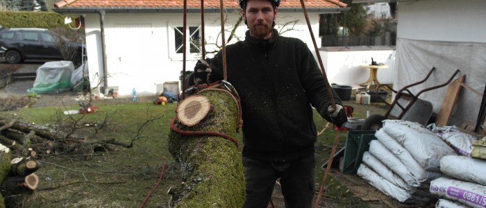 Baumstück - Seilklettertechnik